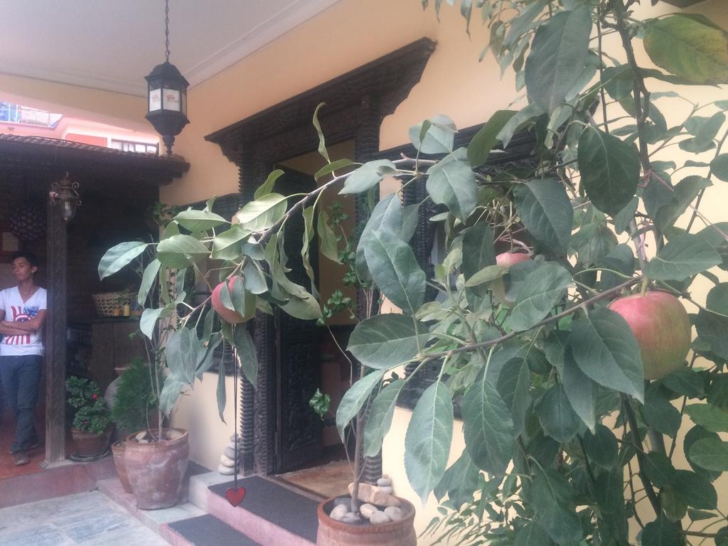 Hotel Mi Casa Katmandu Eksteriør billede